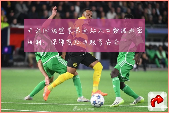 开云pc端登录器全站入口数据加密机制，保障隐私与账号安全