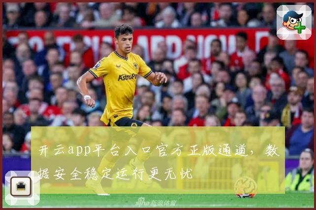 开云app平台入口官方正版通道，数据安全稳定运行更无忧